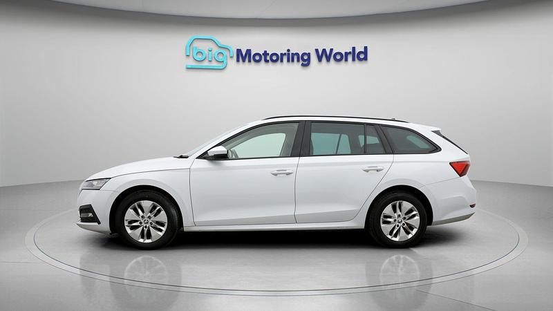 Used Skoda Octavia SE Technology 110 HP (80 kW) 2022 White Estate