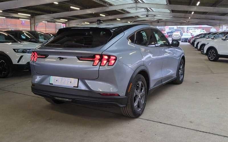 Used Ford Mustang Standard Range 269 HP (197 kW) 2021 Estate
