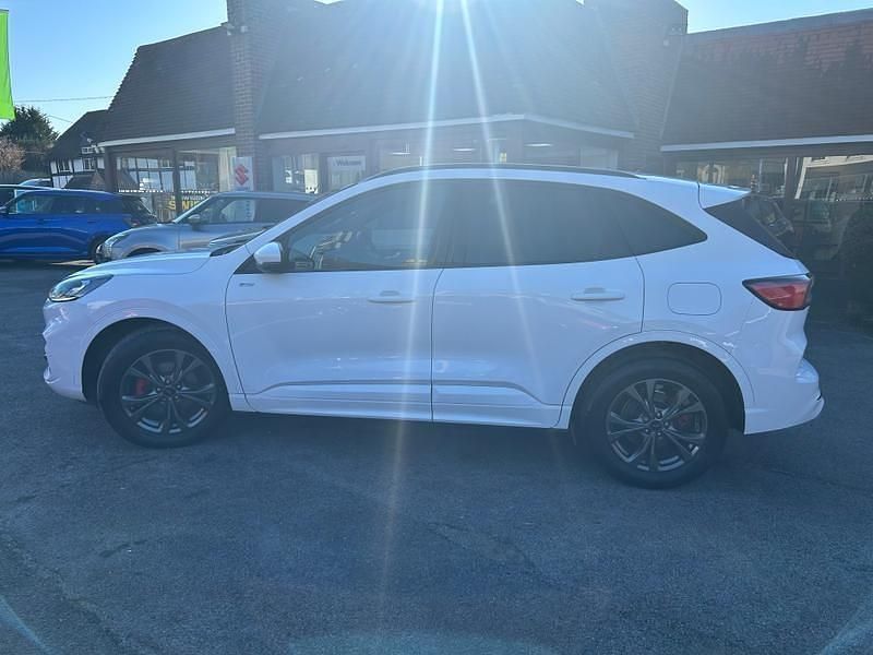Used Ford Kuga ST-Line 150 HP (110 kW) 2023 White SUV