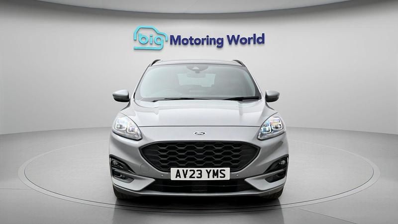 Used Ford Kuga ST-Line X 190 HP (139 kW) 2023 SUV