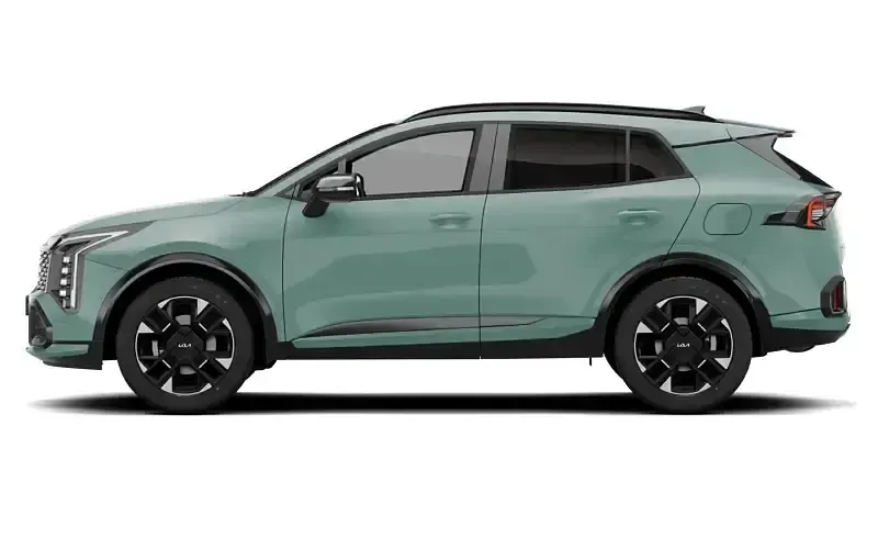 Used Kia Sportage 159 HP (116 kW) 2024 SUV
