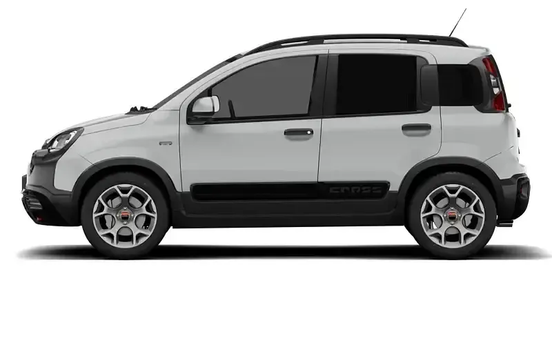 Used Fiat Panda Cross Cross 69 HP (50 kW) 2020 Hatchback