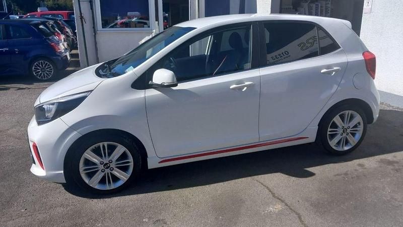 Used Kia Picanto GT-Line 66 HP (48 kW) 2017 White Hatchback
