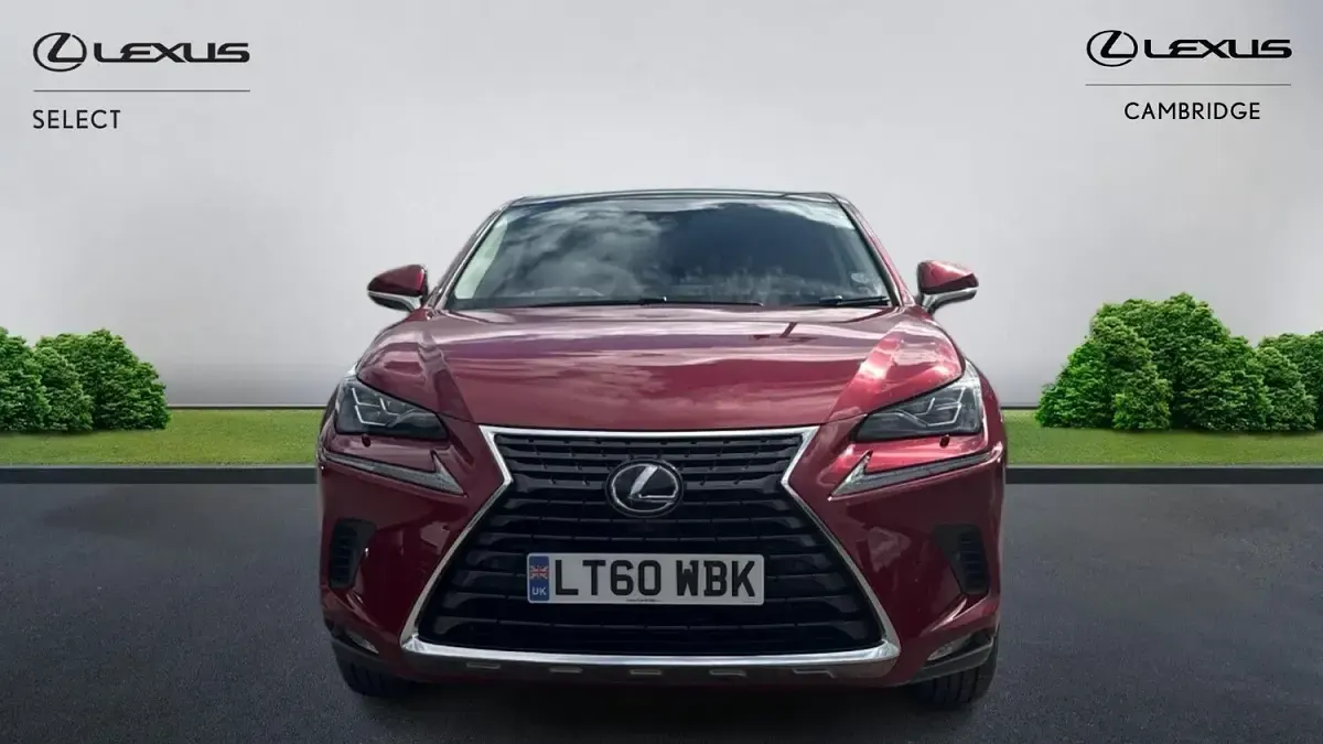 Used Lexus NX300h 197 HP (144 kW) 2021 Red SUV
