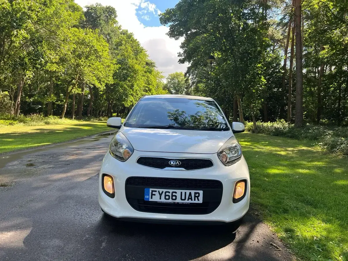Used Kia Picanto 65 HP (47 kW) 2016 White Hatchback