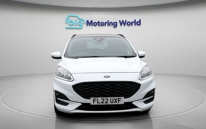 Used Ford Kuga ST-Line X 150 HP (110 kW) 2022 White SUV