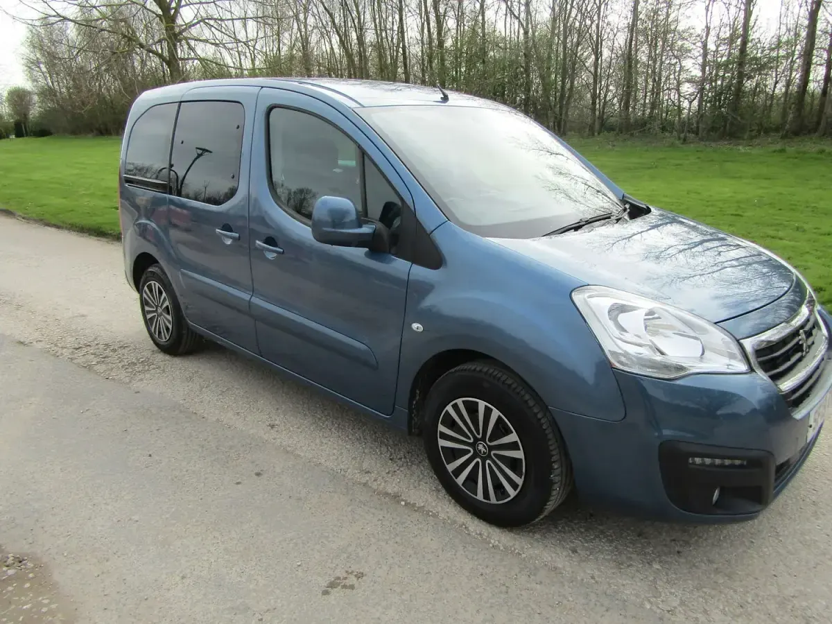 Used Peugeot Partner Active 75 HP (55 kW) 2019 Blue MPV