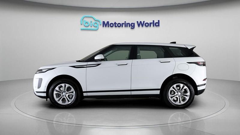 Used Land Rover Range Rover evoque S 305 HP (224 kW) 2020 White SUV