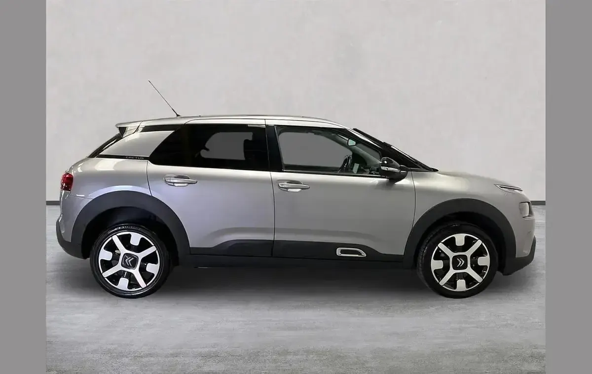 Used Citroën C4 Flair 108 HP (79 kW) 2019 Grey SUV