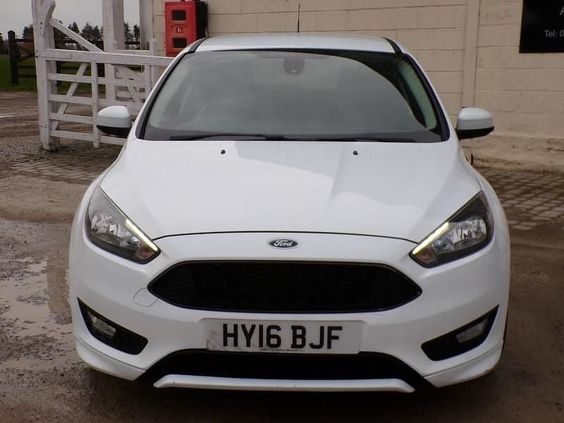 Used Ford Focus Zetec 120 HP (88 kW) 2016 White Hatchback