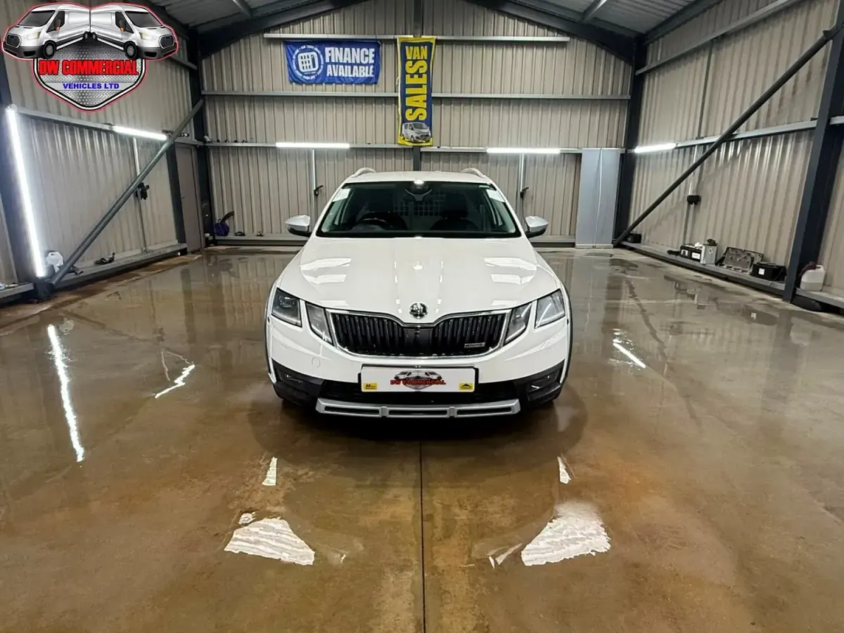 Used Skoda Octavia Scout 4x4 150 HP (110 kW) 2019 White Estate