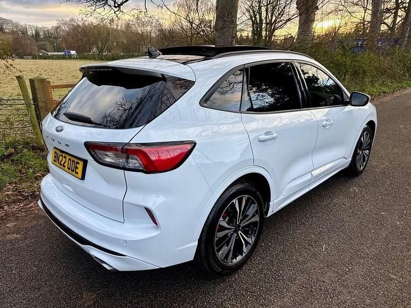 Used Ford Kuga ST-Line X 120 HP (88 kW) 2022 White SUV