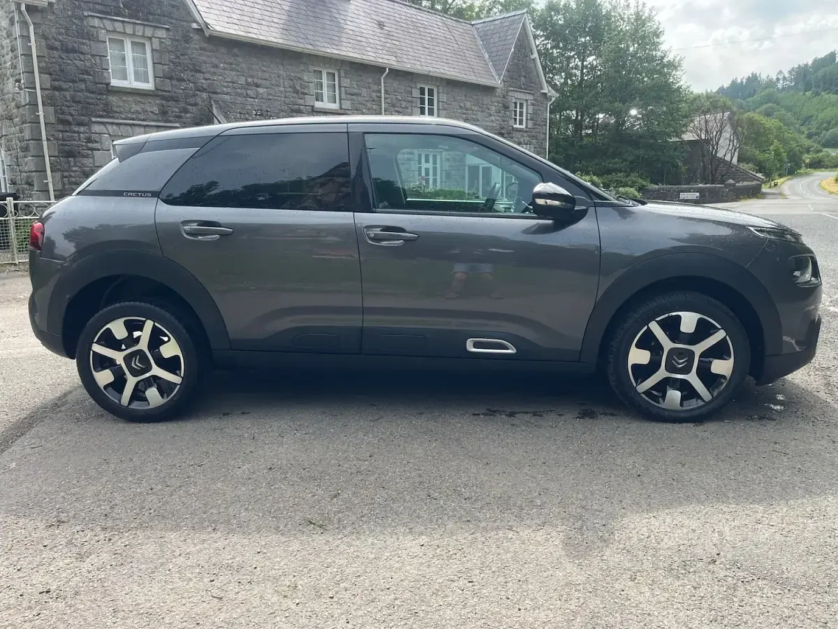 Used Citroën C4 Cactus Flair 100 HP (73 kW) 2020 Grey Hatchback
