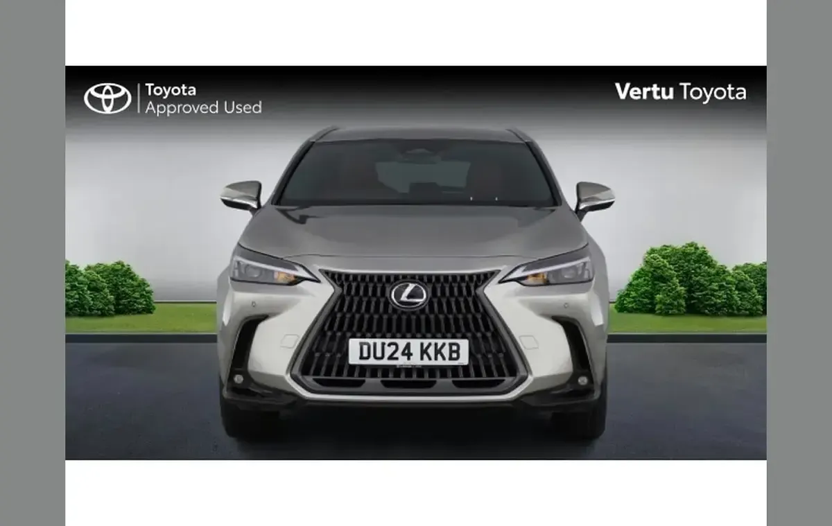 Used Lexus NX450h+ 301 HP (221 kW) 2024 Silver SUV