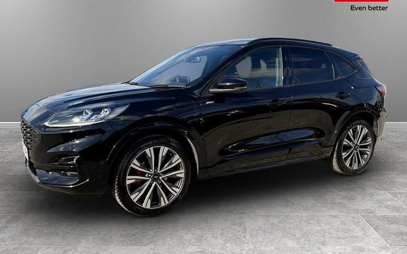 Used Ford Kuga ST-Line X 224 HP (164 kW) 2023 SUV