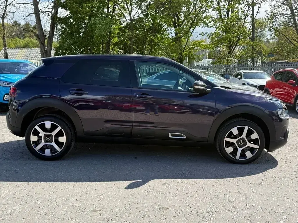 Usado Citroën C4 Cactus Flair 110 HP (80 kW) 2019 Roxo Citadino