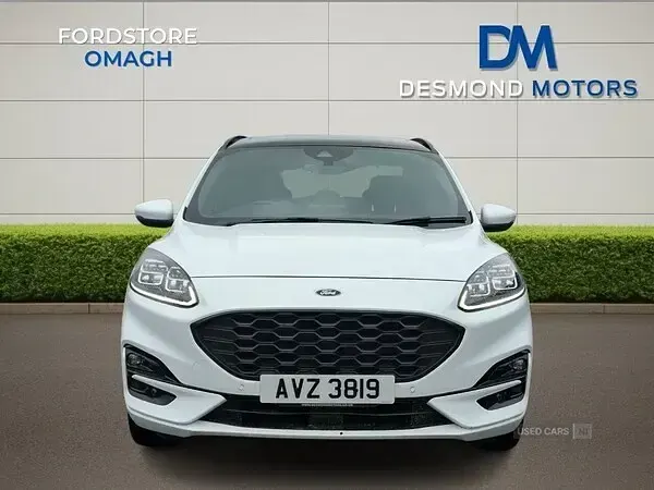 Used Ford Kuga ST-Line X 120 HP (88 kW) 2023 White SUV