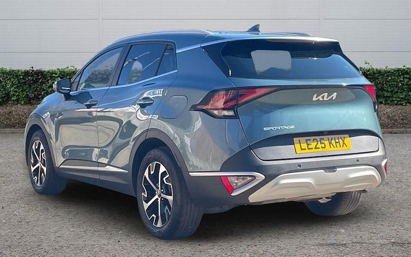 Used Kia Sportage 159 HP (116 kW) 2024 SUV