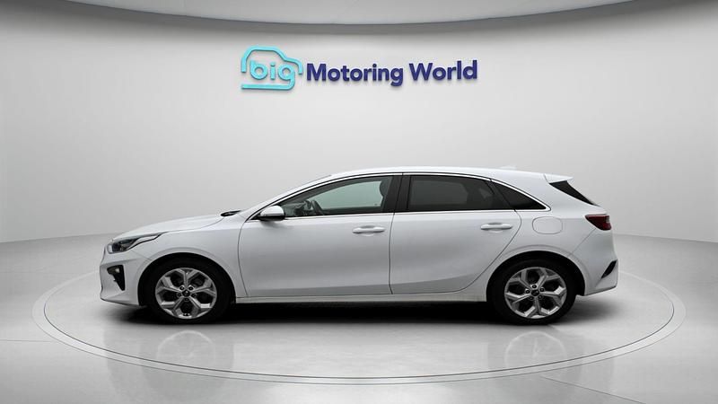 Used Kia Ceed 116 HP (85 kW) 2019 White Hatchback
