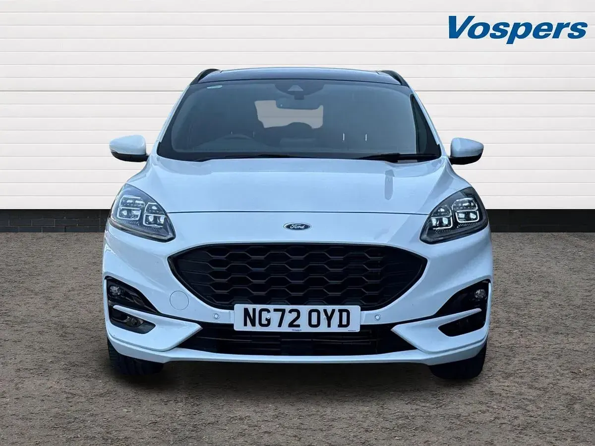 Used Ford Kuga ST-Line X 150 HP (110 kW) 2023 White SUV