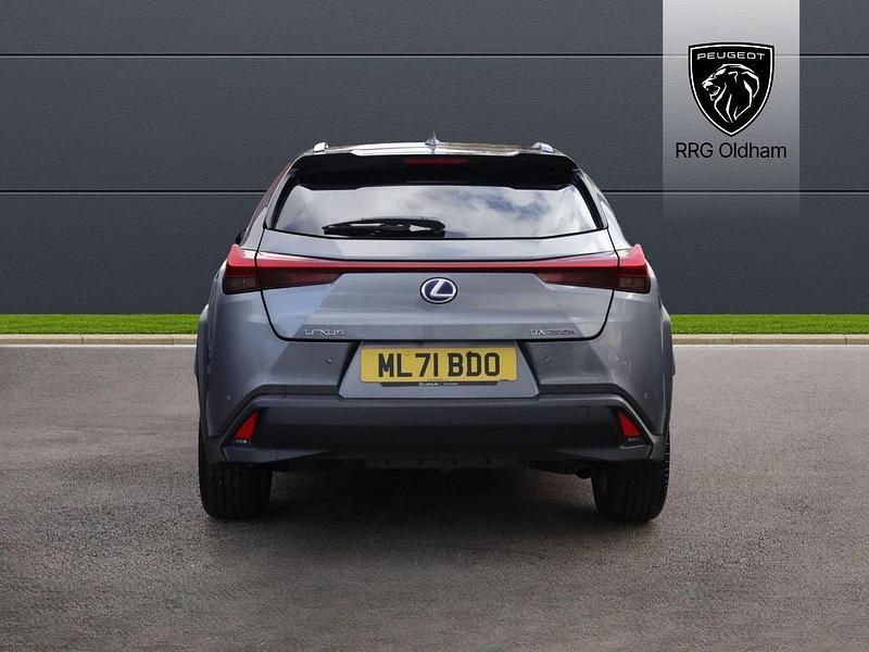 Used Lexus UX Sport Line 181 HP (133 kW) 2021 Grey SUV