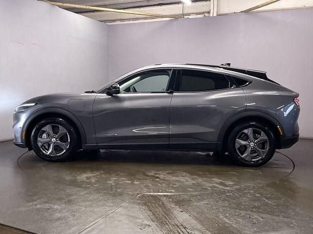 Begagnad Ford Mustang Standard Range 269 HK (197 kW) 2023 Grå SUV