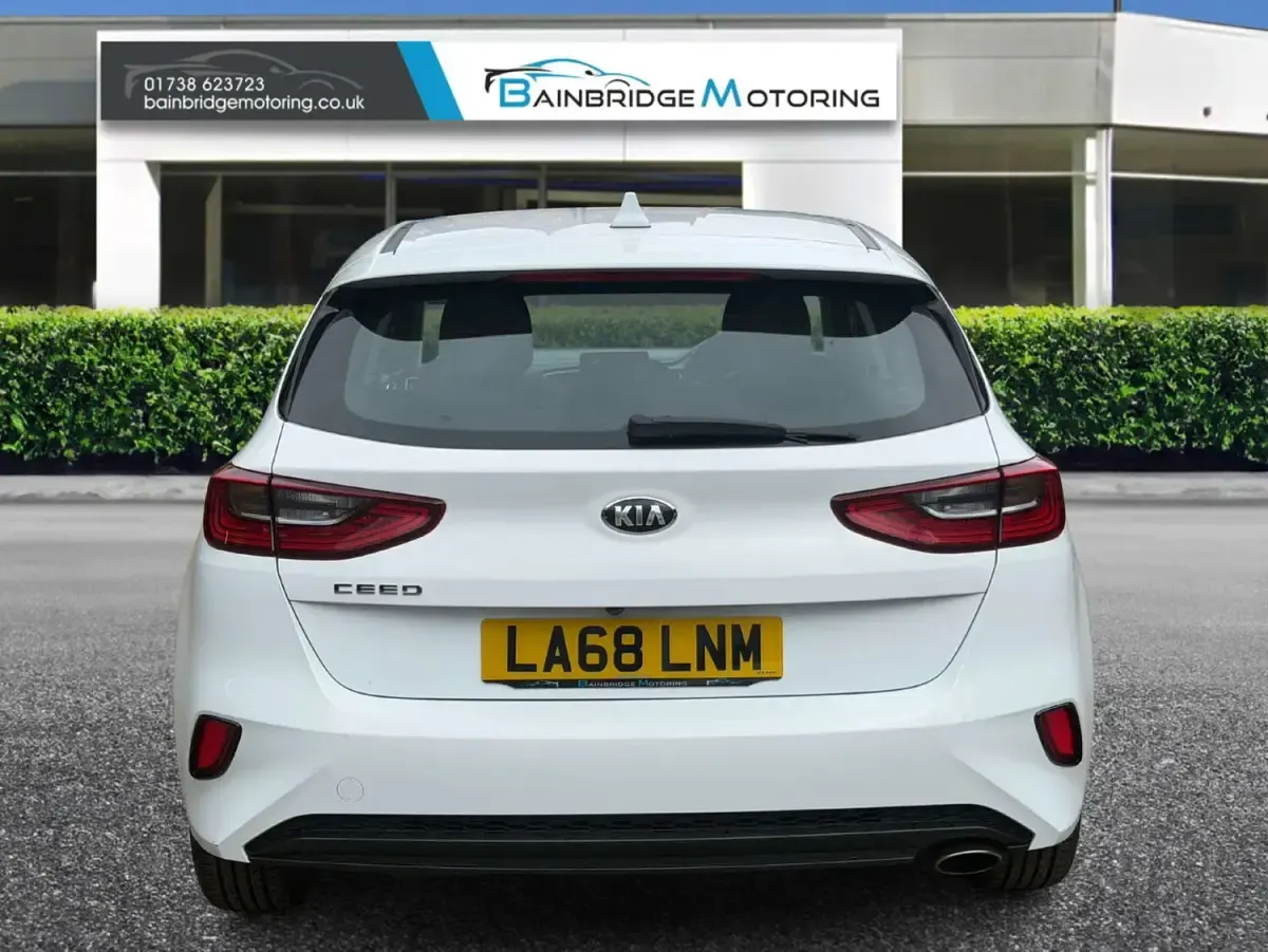 Used Kia Ceed 136 HP (100 kW) 2019 White Hatchback