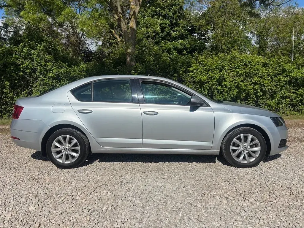 Used Skoda Octavia 115 HP (84 kW) 2018 Silver Hatchback