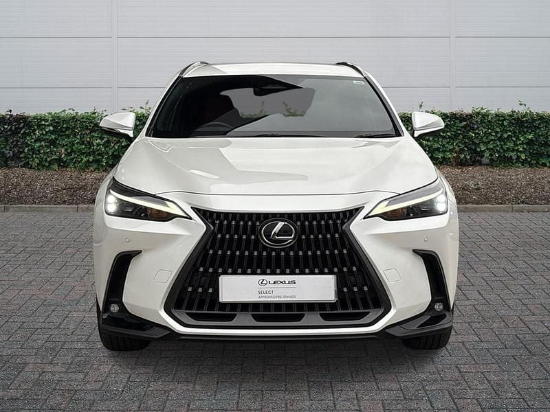 Used Lexus NX450h+ 2025 White SUV