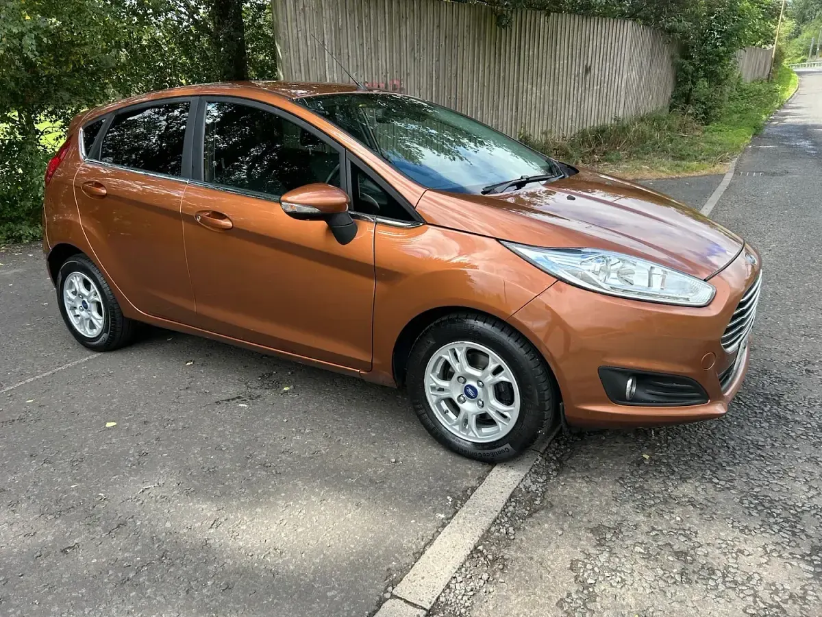 Used Ford Fiesta Titanium 75 HP (55 kW) 2016 Brown Hatchback