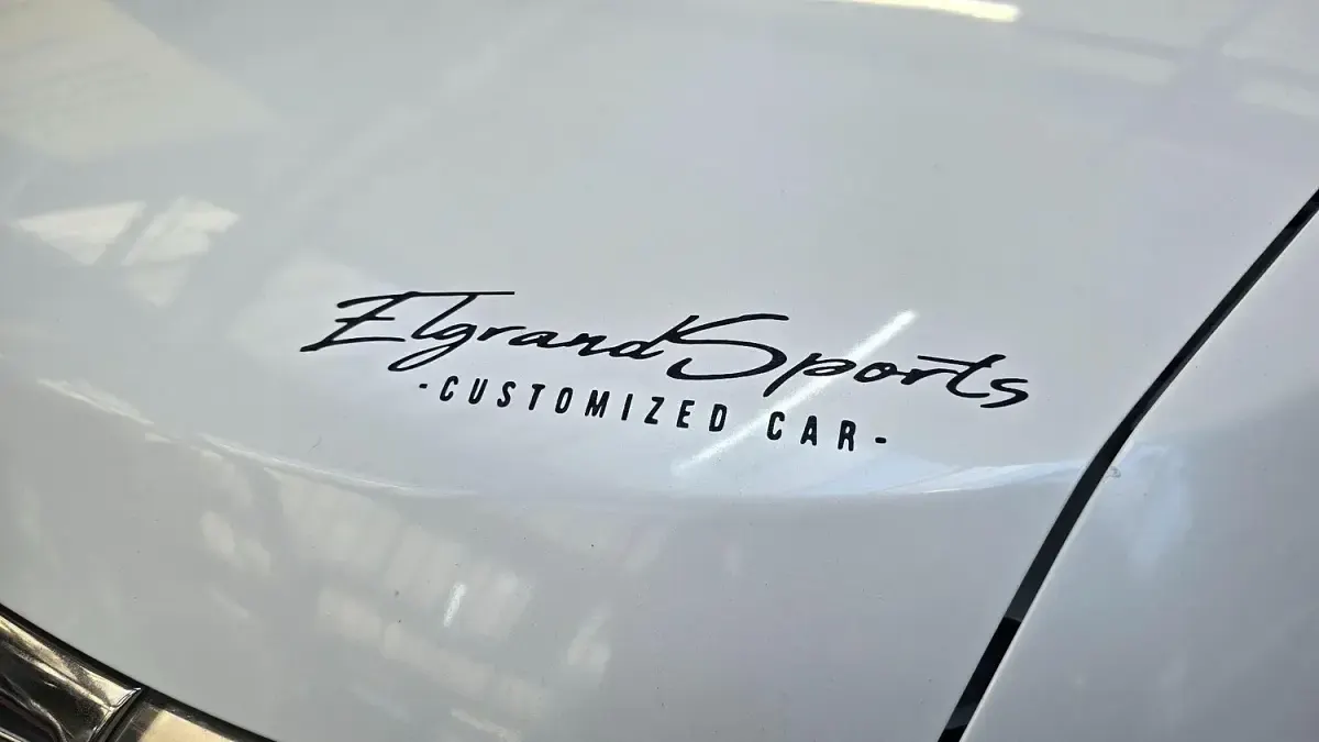 Used Nissan Elgrand 2010 White