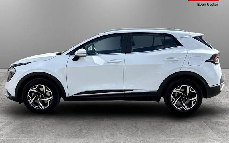 Used Kia Sportage 150 HP (110 kW) 2023 SUV