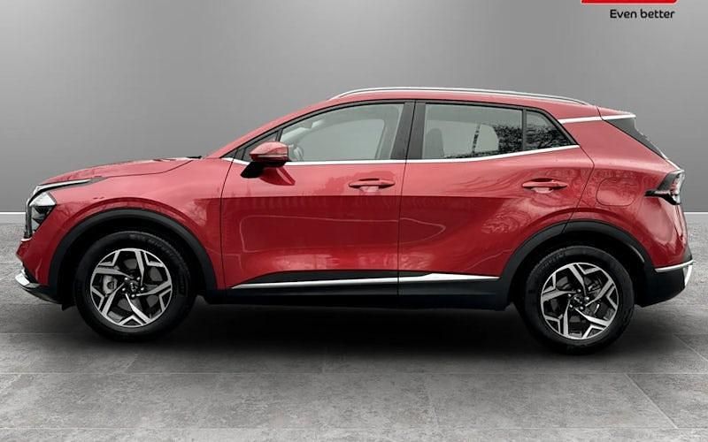 Used Kia Sportage 159 HP (116 kW) 2024 SUV