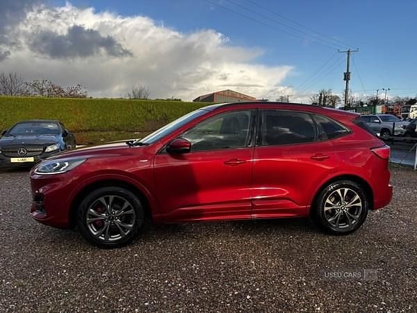 Used Ford Kuga ST-Line 120 HP (88 kW) 2020 Red SUV