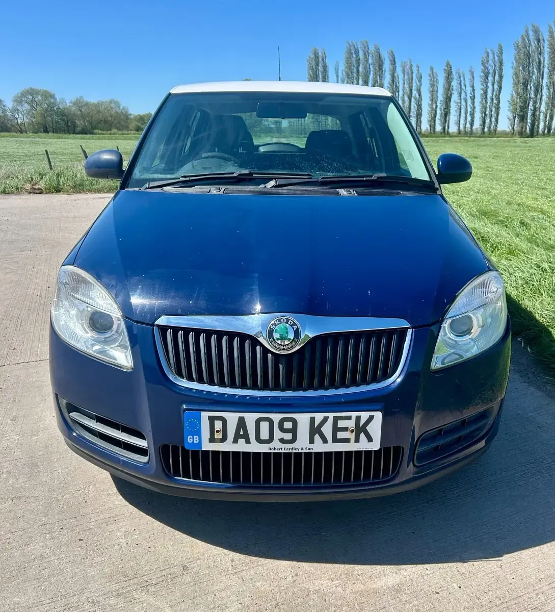 Usado Skoda Fabia 2009 Azul Citadino