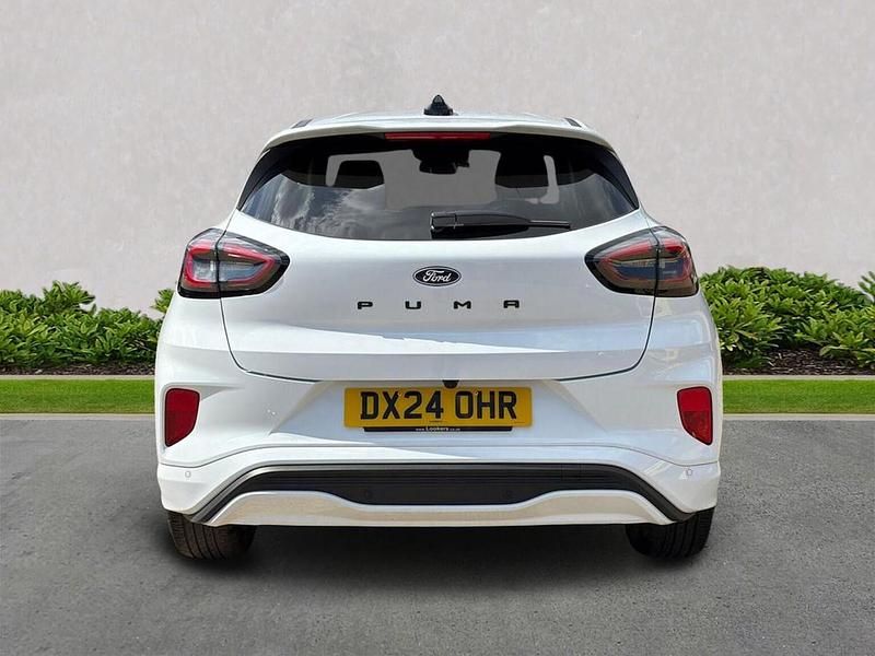 Used Ford Puma ST-Line X 125 HP (91 kW) 2024 White SUV