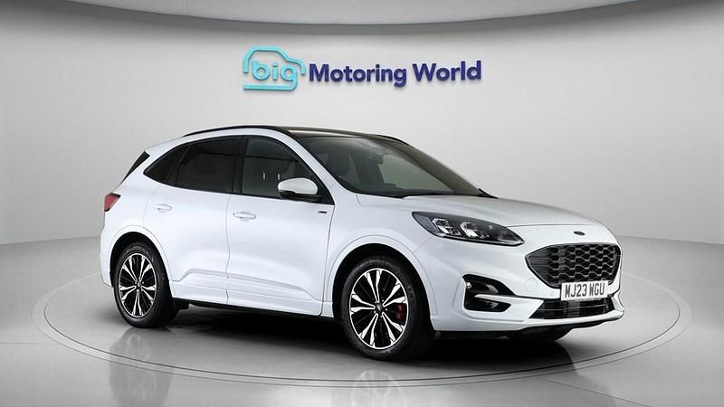 Used Ford Kuga ST-Line X 150 HP (110 kW) 2023 White SUV