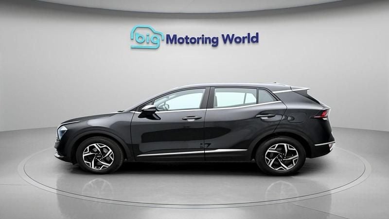 Used Kia Sportage 148 HP (108 kW) 2023 Black SUV
