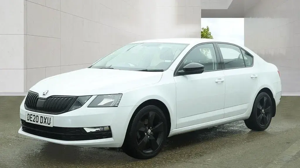 Used Skoda Octavia SE Drive 150 HP (110 kW) 2020 White Hatchback