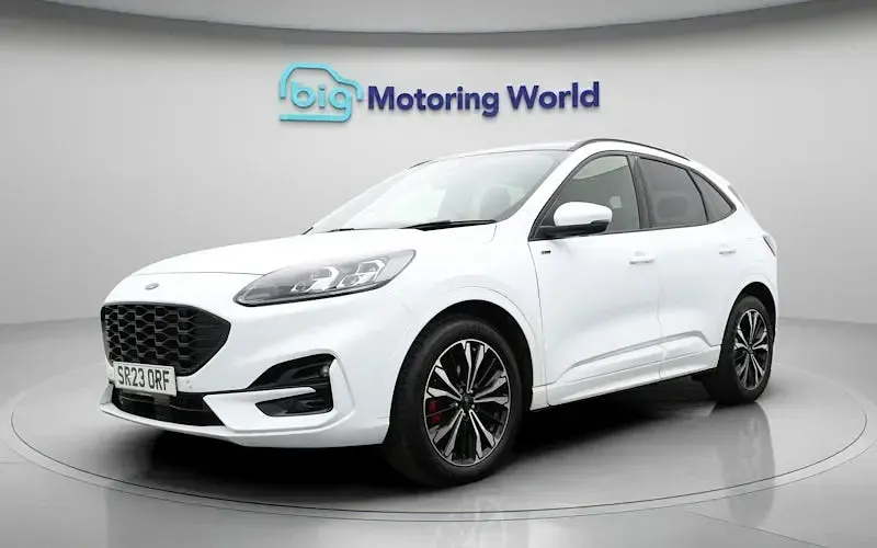 Used Ford Kuga ST-Line X 150 HP (110 kW) 2023 White SUV