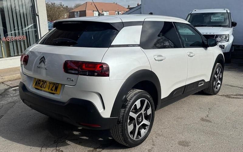 Used Citroën C4 Cactus Flair 131 HP (96 kW) 2020 White Hatchback