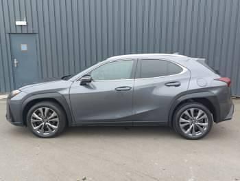 Used Lexus UX 300h Sport Design Packet 199 HP (146 kW) 2025 Grey SUV