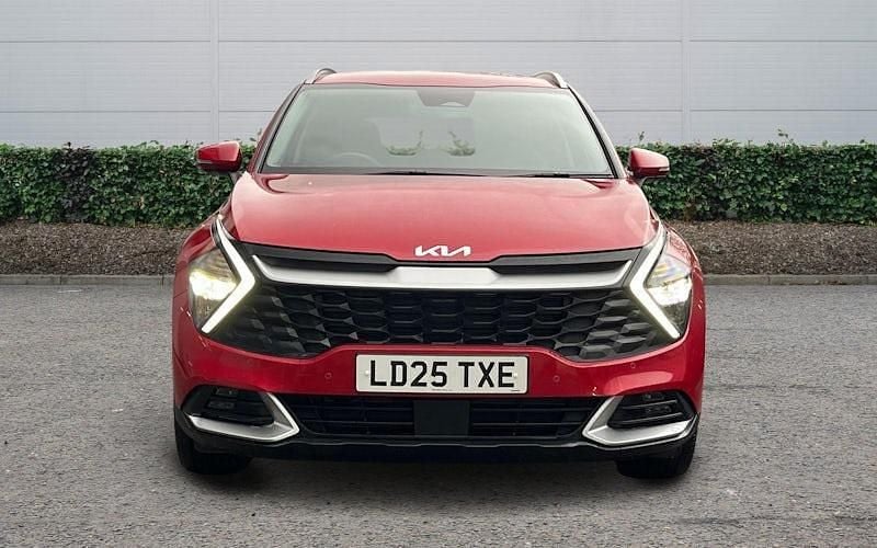 Used Kia Sportage 159 HP (116 kW) 2024 SUV