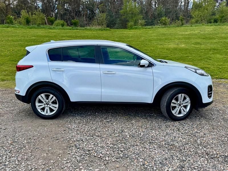 Used Kia Sportage 130 HP (95 kW) 2017 White SUV
