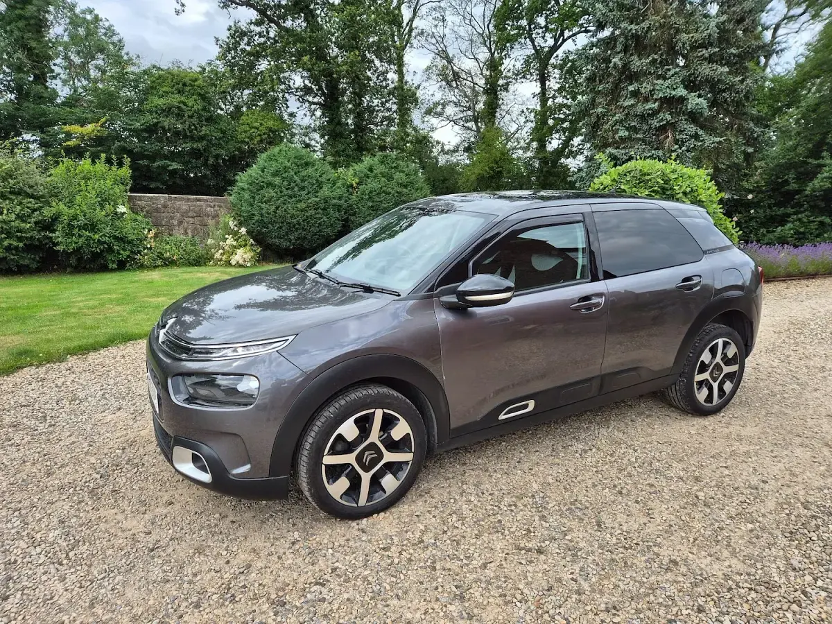 Used Citroën C4 Cactus Flair 2019 Grey Hatchback