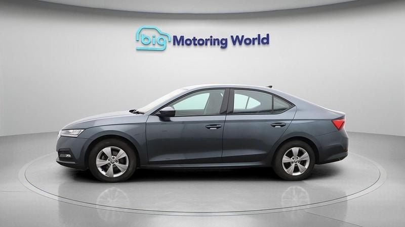 Used Skoda Octavia SE First Edition 150 HP (110 kW) 2020 Grey Hatchback