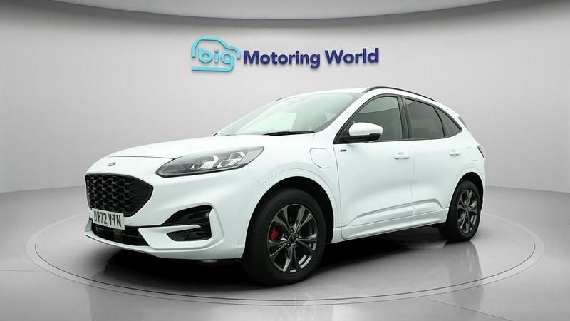 Used Ford Kuga ST-Line 222 HP (163 kW) 2022 White SUV