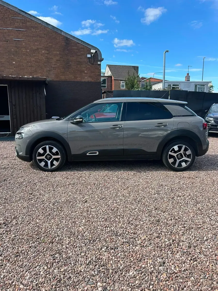 Used Citroën C4 Cactus Flair 2019 Grey Hatchback