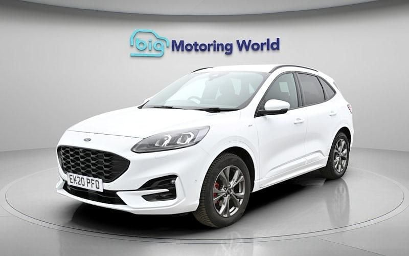 Used Ford Kuga ST-Line 150 HP (110 kW) 2020 White SUV