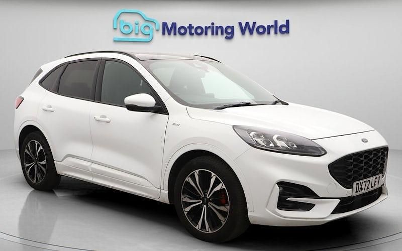 Used Ford Kuga ST-Line X 150 HP (110 kW) 2022 White SUV